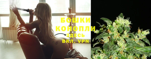 ECSTASY Лиски