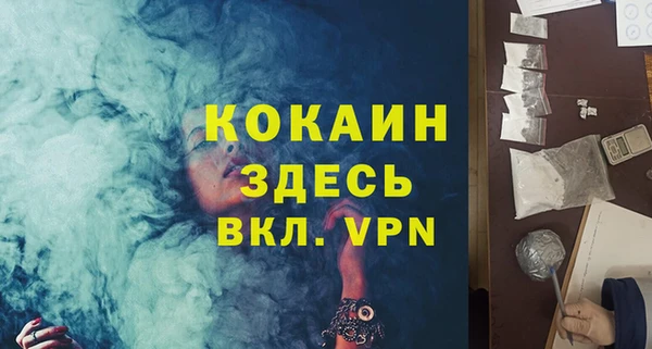 шишки Покачи