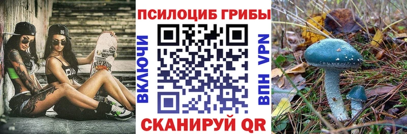 shop клад  Кисловодск  Псилоцибиновые грибы GOLDEN TEACHER 