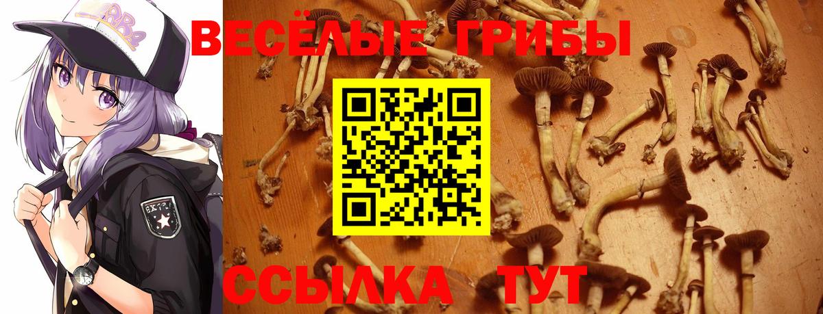 APVP СК кристаллы  Меф кристаллы  МЕТ  Бошки Шишки  МЕФ кристаллы  Кисловодск  НБОМе  Где купить наркотики?  ГАШИШ 