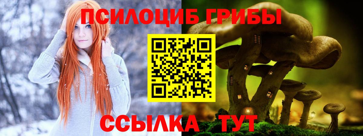 Кисловодск  Галлюциногенные грибы мухоморы  Вход с VPN 