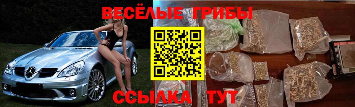 Галлюциногенные грибы мухоморы Кисловодск